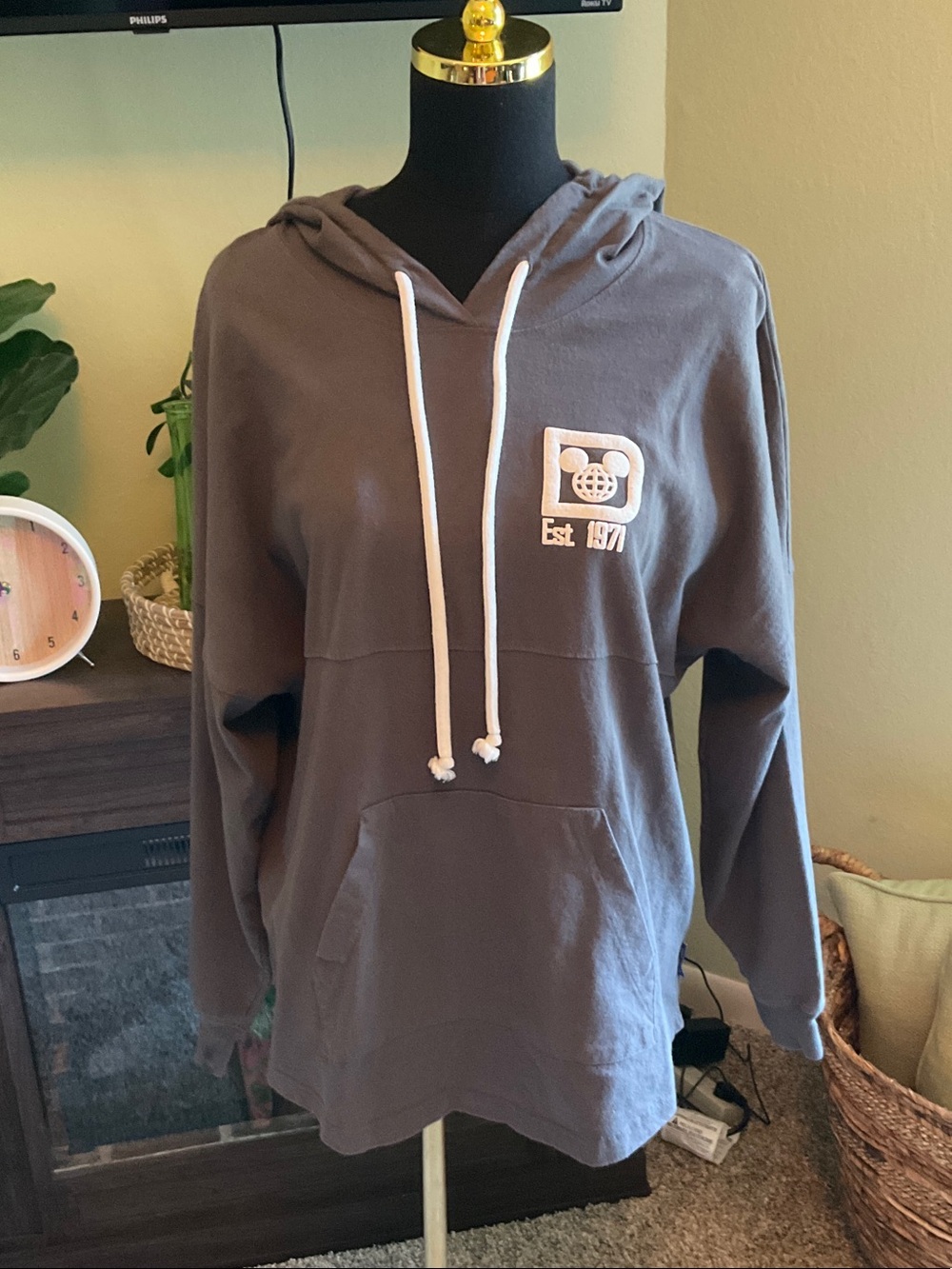 Men’s Size Medium Walt Disney World Hoodie, Good Condition